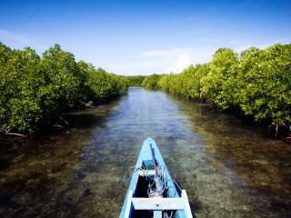 DPRD DKI Dukung Kepulauan Seribu Jadi Ekowisata Terumbu Karang