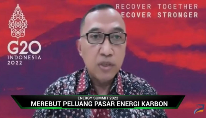 Perdagangan Karbon Bantu Indonesia Kembangkan Energi Alternatif