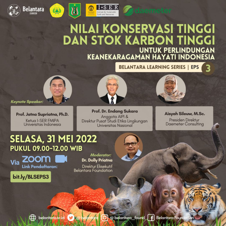 Ilmuwan Ungkap Bumi Kehilangan Sekitar 80% Biomassa Satwa Menyusui