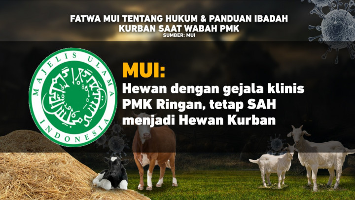Fatwa MUI tentang Hukum dan Panduan Ibadah Kurban saat Wabah PMK