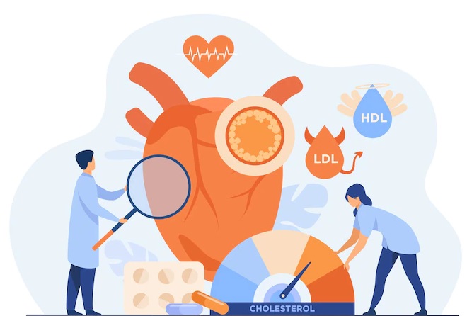 Meskipun baik untuk tubuh, kadar kolesterol yang tinggi juga dapat memiliki efek buruk. (Foto: Ilustrasi. Dok. Freepik.com)