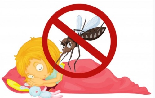 Angka Kasus DBD di Jakpus Merangkak Naik