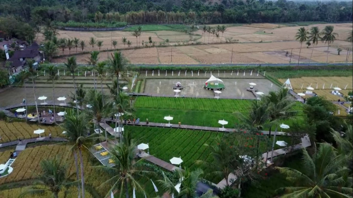 Sejumlah Kegiatan Mengasyikan saat Kamu Berkunjung ke 5 Destinasi Super Prioritas