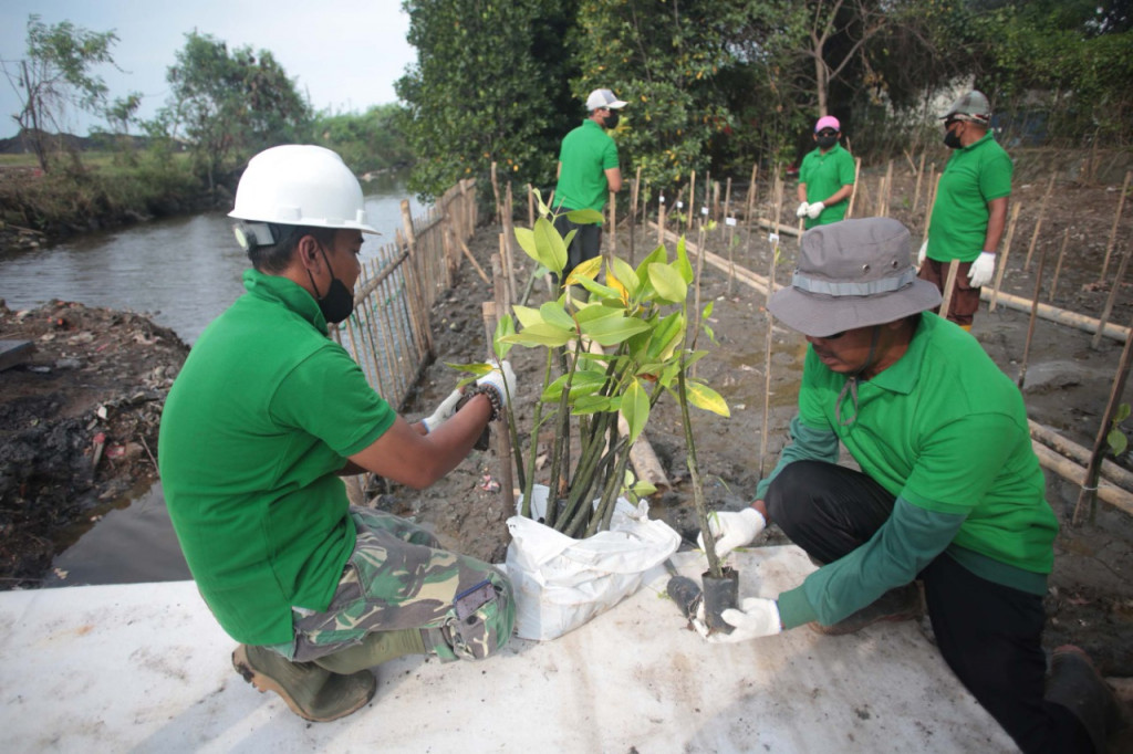 Upaya Melestarikan Alam dan Menghijaukan Pesisir Jakarta (Foto:ist)