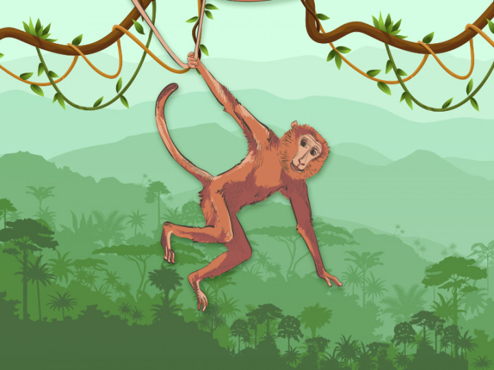 6 Pencegahan untuk Hindari Penularan Cacar Monyet