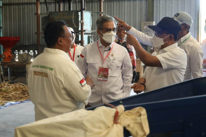 Kementan Dukung Pemkab Waingapu Kembangkan Pangan Alternatif Sorgum