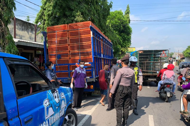 Petugas saat melakukan pemeriksaan kendaraan pengangkut ternak di perbatasan Tulungagung-Kediri di Ngantru, Tulungagung, Minggu, 5 Juni 2022. ANTARA/HO - Humas Polres Tulungagung