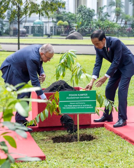President Jokowi Invites Australian PM to Plant Tree, Ride Bamboo Bicycle