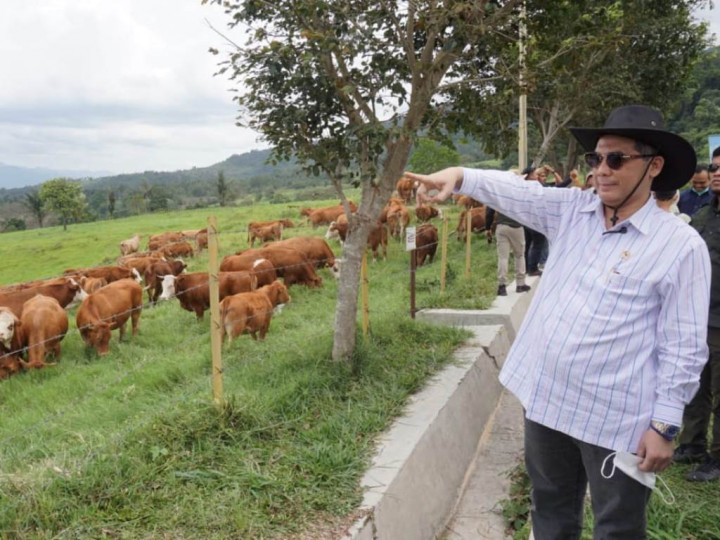 Kementan Pastikan Pasokan Daging Sapi Tercukupi Jelang Iduladha