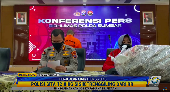 Jual Sisik Trenggiling, Seorang Warga Padang Diamankan Polisi