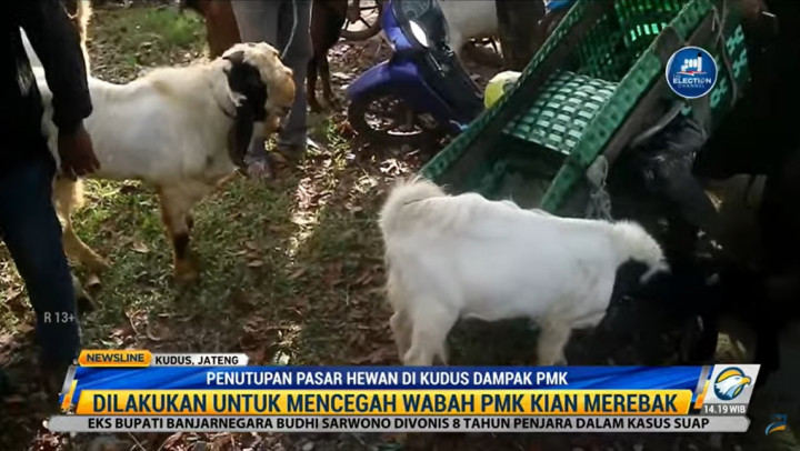 Pasar Hewan Kudus Ditutup, Pedagang Kambing Nekat Jualan di Jalan