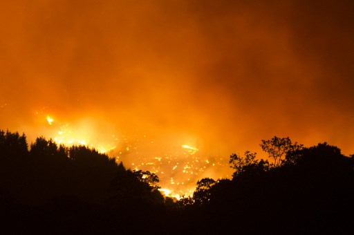 Kebakaran Hutan di Spanyol Lukai 3 Pemadam Kebakaran