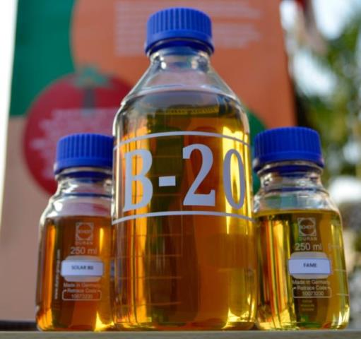 RI Promosikan Proyek B30 dan Bioavtur ke Denmark