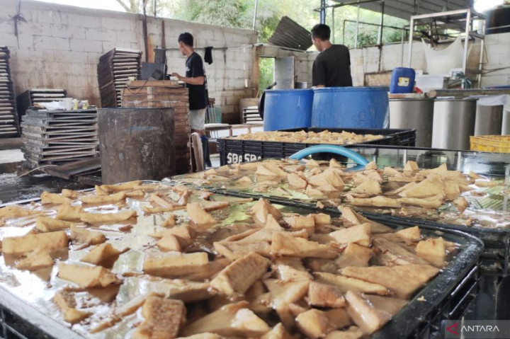 Dua Pabrik Tahu di Parung Bogor Tertangkap Tangan Gunakan Formalin