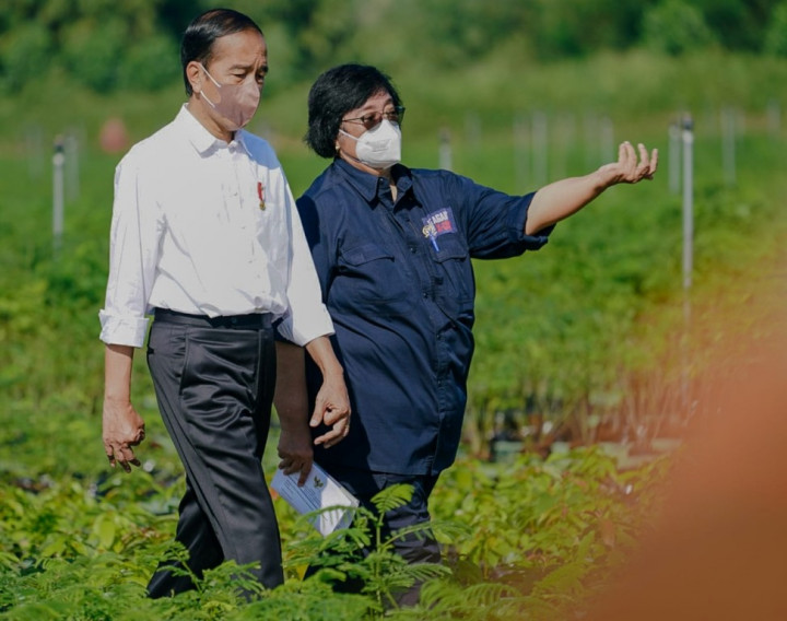 Jokowi Targetkan 360 Juta Bibit dari 30 Pusat Persemaian