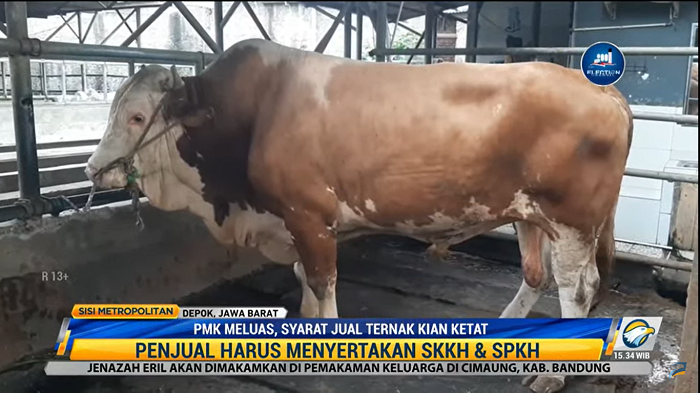 Jual Beli Hewan Kurban Semakin Ketat, Harus Ada SKKH & SPKH