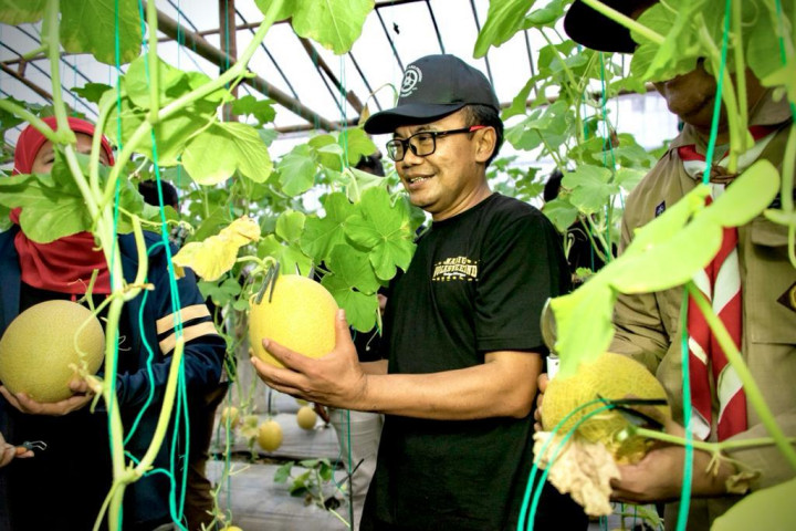 Jaga Ketahanan Pangan, Pemerintah Dukung Pengembangan Komoditas Unggulan Daerah