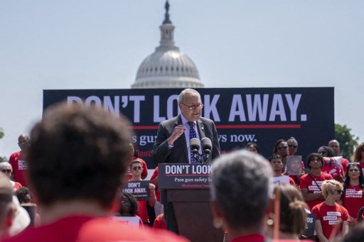 Akhirnya, Senator AS Usulkan Langkah Atasi Kekerasan Senjata