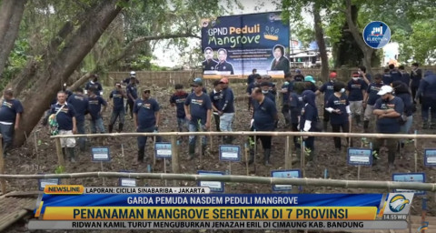 Jelang Rakernas, GP NasDem Serentak Tanam Mangrove di 7 Provinsi