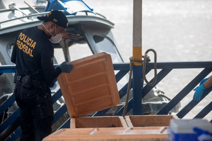 Jurnalis dan Pakar Adat Hilang di Amazon, Polisi Temukan Sejumlah Barang Pribadi