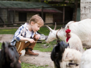 Wujudkan One Health, Pentingnya Pantau Interaksi Manusia dengan Hewan