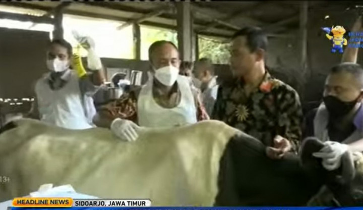 Vaksinasi PMK Dimulai, Kementan Berencana Datangkan 3 Juta Vaksin