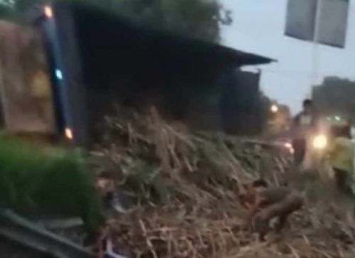 Truk Muatan Tebu Terguling di Jombang, 4 Orang Tewas