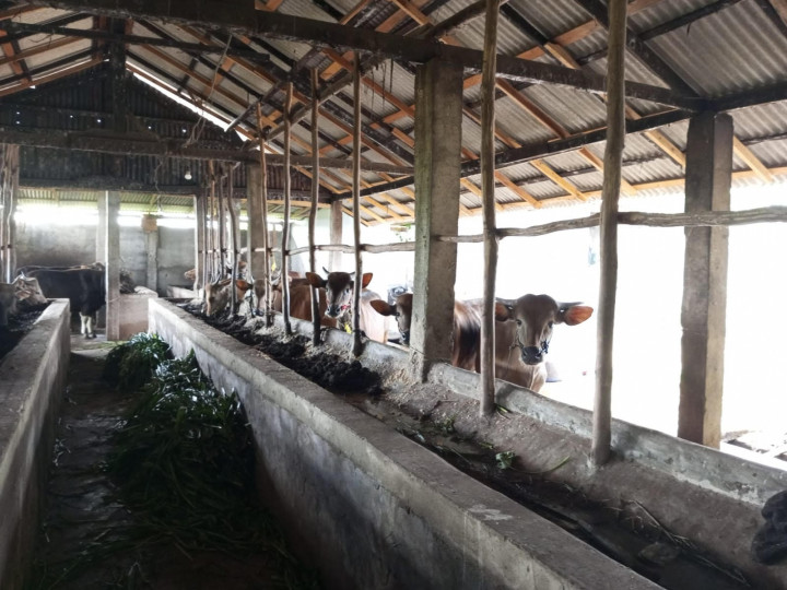 Antisipasi PMK, Pedagang Daging di Palembang Ditempel Stiker Khusus