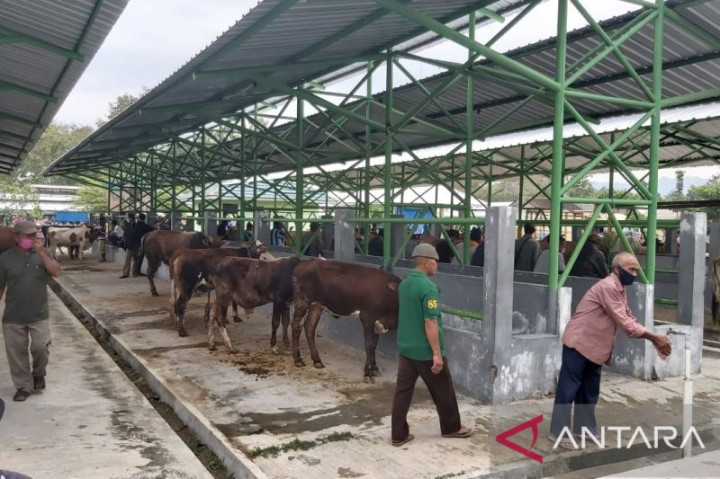 Hewan di Pasar Terpadu Pengasih Kulon Progo Bersih dari PMK