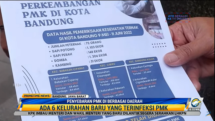 Kasus PMK Naik Drastis, Petani Diwajibkan Isolasi Sapi yang Positif