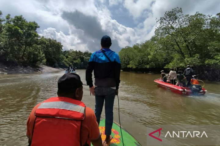 Seorang Warga Tewas Diterkam Buaya di Calon Ibu Kota Baru