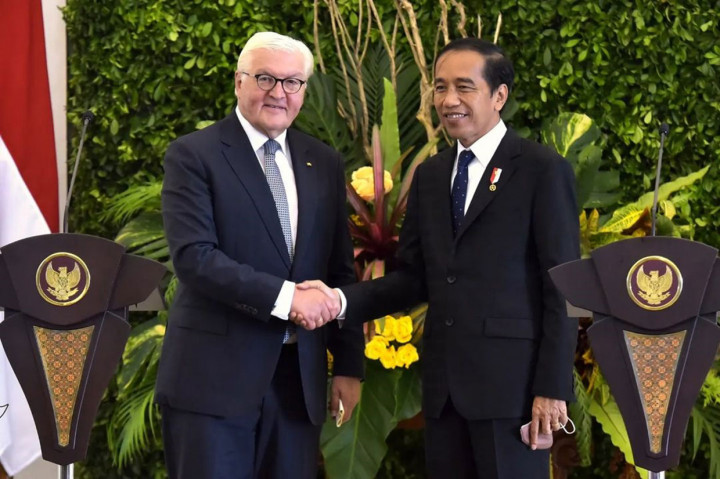 Foto: Jokowi-Presiden Jerman Diskusi Terkait Situasi Ukraina
