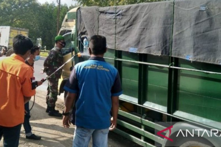 Pemkab Sampang Minta Peternak Kubur Sapi Mati Akibat PMK