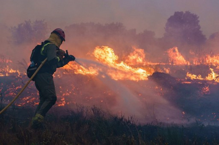 Spanyol Berjuang Padamkan Kebakaran Hutan di Tengah Gelombang Panas
