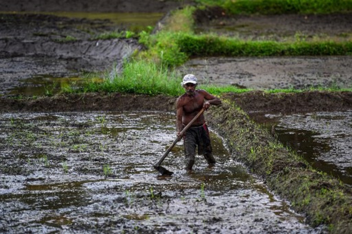 Menteri Pertanian Sri Lanka Melarikan Diri usai Dicemooh Petani