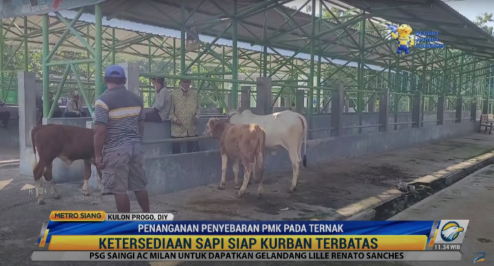 Pasar Hewan Kulon Progo Sepi Terimbas PMK