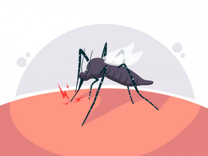 Kemenkes: Lakukan 6 Strategi Nasional untuk Pengendalian Dengue