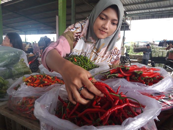 Pemkab Lembata Tak Berdaya Hadapi Harga Cabai yang 'Menggila'