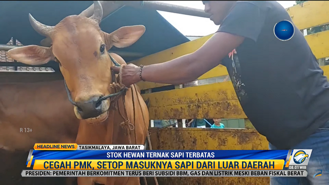 Stok Hewan Kurban di Tasikmalaya Terbatas Karena PMK