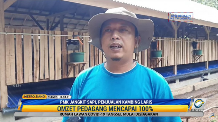 Wabah  PMK Merebak, Penjualan Kambing di Ciamis Laris Manis
