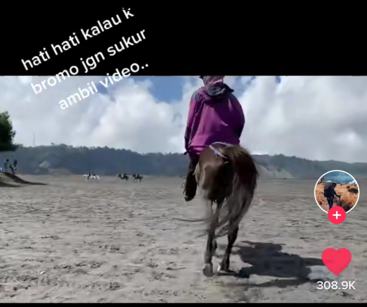 Viral, Ambil Video Penunggang Kuda Wisatawan Bromo Kena Palak Rp50 Ribu