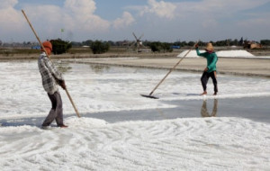 Erick Thohir Ingin Ekosistem Industri Garam Menguntungkan Masyarakat Madura