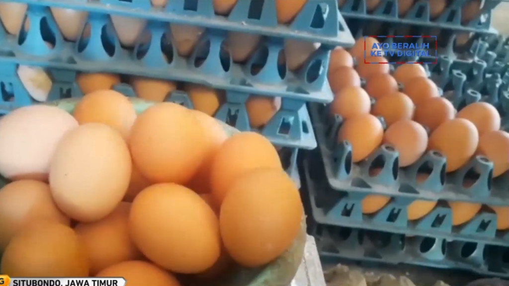 Ilustrasi telur. Foto: Dok/Metro TV