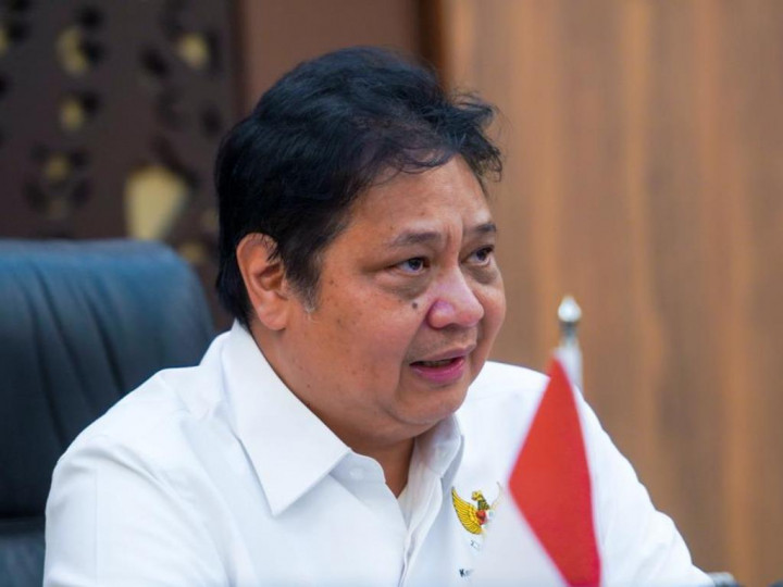 Menko Airlangga: RI Siap Bantu Penanganan Krisis Pangan dan Energi Dunia!