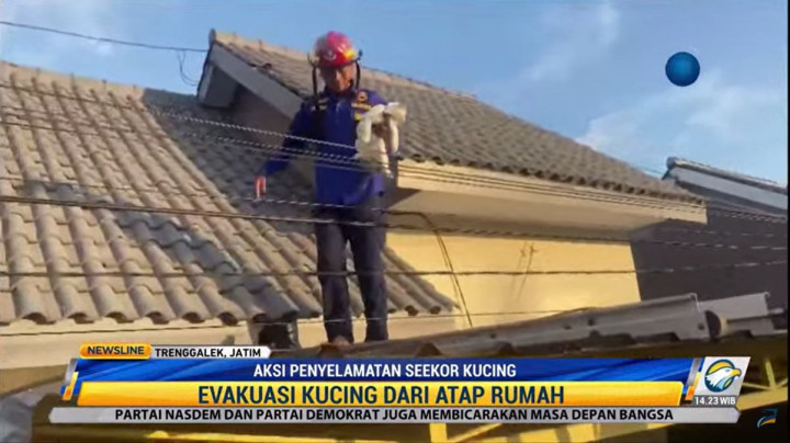 Petugas Damkar Selamatkan Kucing di Atap Rumah