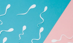 Mengenal Proses Gametogenesis, Penghasil Sel Sperma dan Ovum