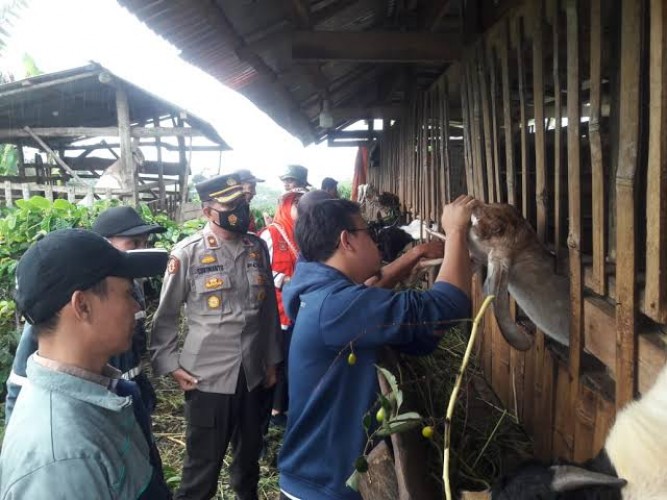 Lampung Terima 37 Ribu Dosis Vaksin Ternak