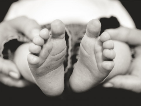 Berita Populer Daerah: Jasad Bayi Dibiarkan Membusuk Hingga Anggota Satgas Madago Raya Hilang
