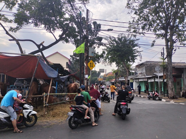 Trotoar di Johar Baru Dijadikan Tempat Dagang Hewan Kurban