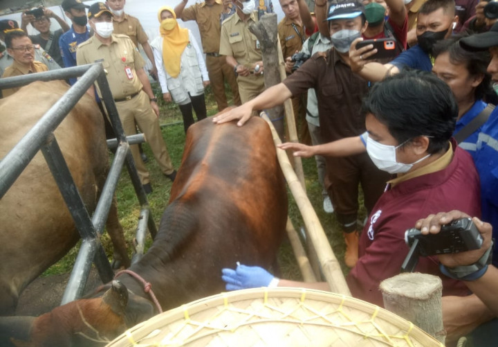 Banten Terima 1.100 Vaksin PMK dari Kementan